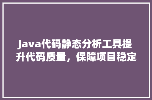 Java代码静态分析工具提升代码质量，保障项目稳定