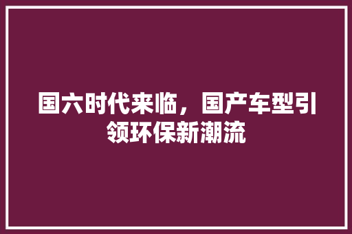 国六时代来临，国产车型引领环保新潮流 车联网技术