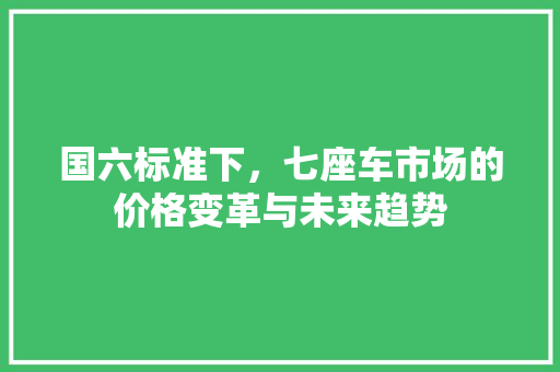 国六标准下，七座车市场的价格变革与未来趋势 新车资讯