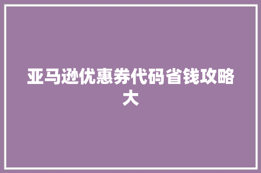 亚马逊优惠券代码省钱攻略大