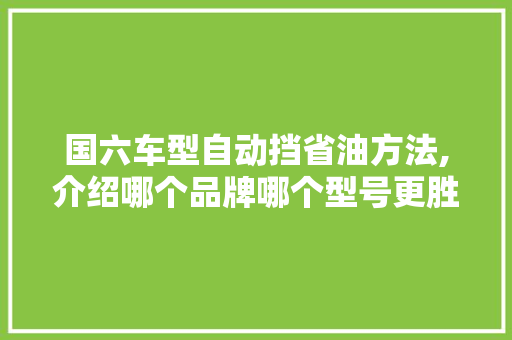 国六车型自动挡省油方法,介绍哪个品牌哪个型号更胜一筹 车联网技术