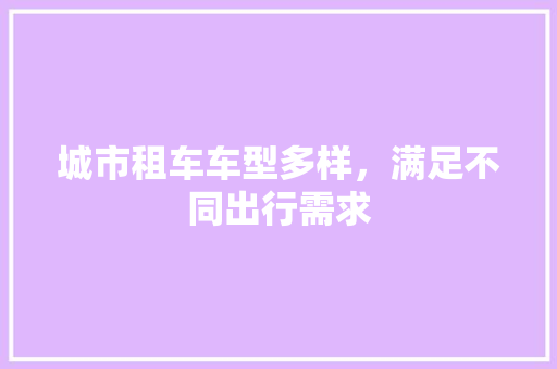 城市租车车型多样，满足不同出行需求