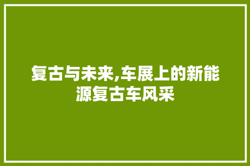 复古与未来,车展上的新能源复古车风采