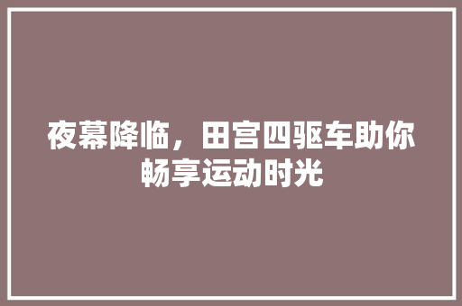 夜幕降临，田宫四驱车助你畅享运动时光