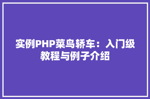 实例PHP菜鸟轿车：入门级教程与例子介绍 智能驾驶