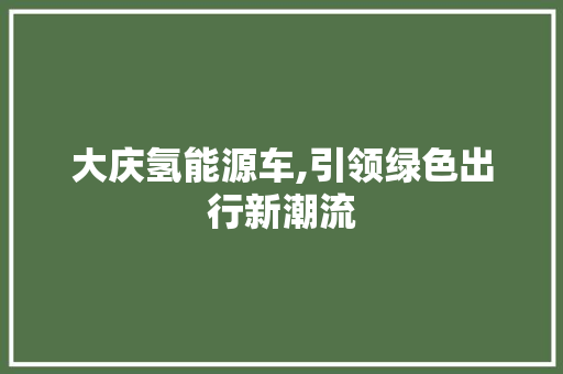 大庆氢能源车,引领绿色出行新潮流
