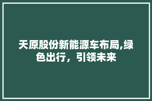 天原股份新能源车布局,绿色出行，引领未来