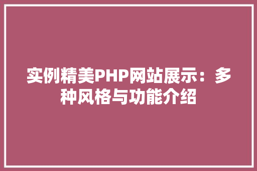 实例精美PHP网站展示：多种风格与功能介绍