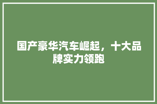 国产豪华汽车崛起，十大品牌实力领跑