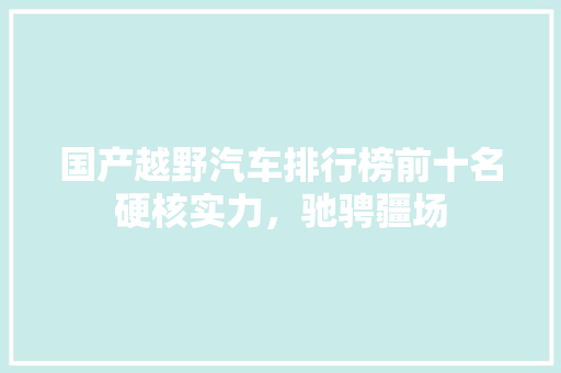 国产越野汽车排行榜前十名硬核实力，驰骋疆场