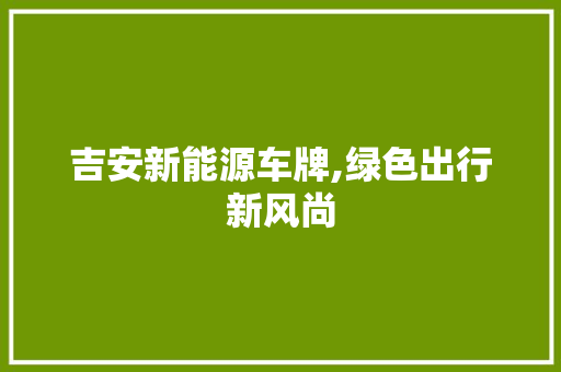 吉安新能源车牌,绿色出行新风尚