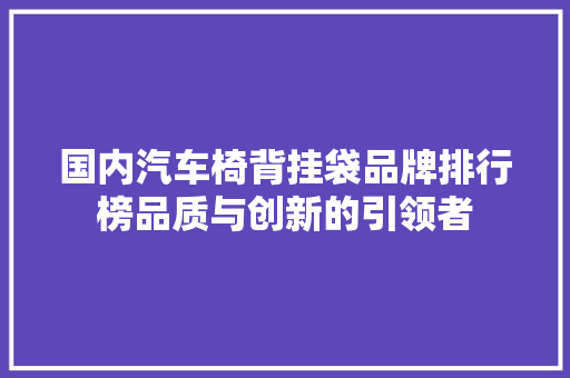 国内汽车椅背挂袋品牌排行榜品质与创新的引领者