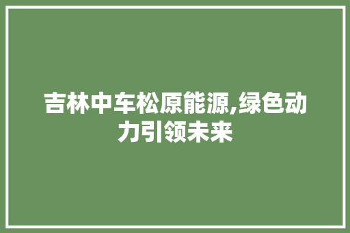 吉林中车松原能源,绿色动力引领未来