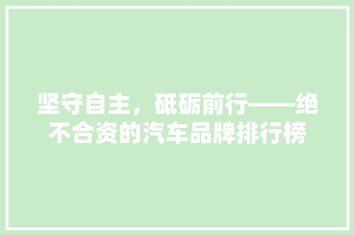 坚守自主，砥砺前行——绝不合资的汽车品牌排行榜 车联网技术