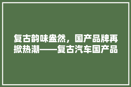 复古韵味盎然，国产品牌再掀热潮——复古汽车国产品牌排行榜