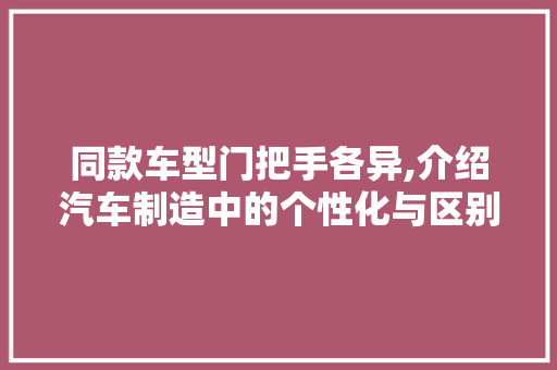 同款车型门把手各异,介绍汽车制造中的个性化与区别化步骤
