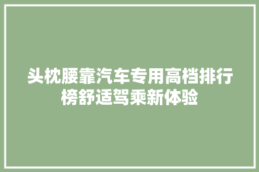 头枕腰靠汽车专用高档排行榜舒适驾乘新体验