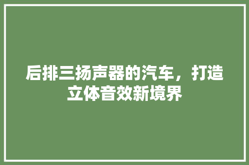 后排三扬声器的汽车，打造立体音效新境界