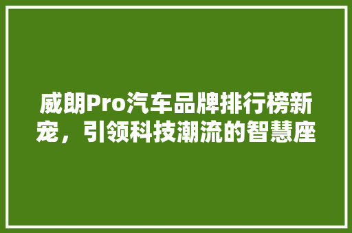 威朗Pro汽车品牌排行榜新宠，引领科技潮流的智慧座驾