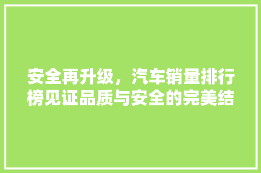 安全再升级，汽车销量排行榜见证品质与安全的完美结合