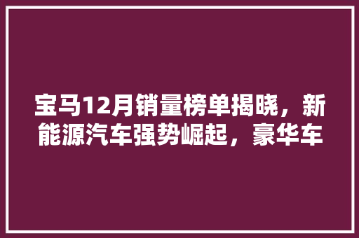 宝马12月销量榜单揭晓，新能源汽车强势崛起，豪华车市场再掀波澜