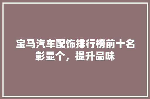 宝马汽车配饰排行榜前十名彰显个，提升品味