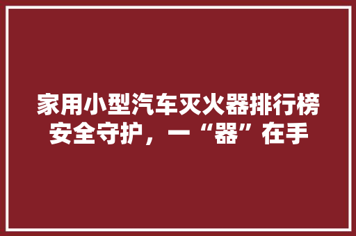 家用小型汽车灭火器排行榜安全守护，一“器”在手 车载导航