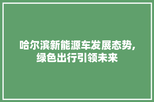 哈尔滨新能源车发展态势,绿色出行引领未来