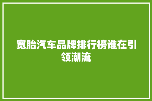 宽胎汽车品牌排行榜谁在引领潮流