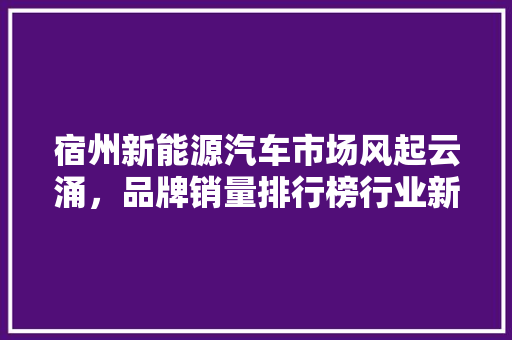 宿州新能源汽车市场风起云涌，品牌销量排行榜行业新趋势