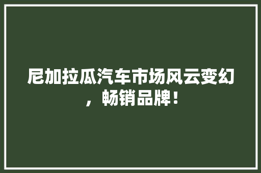 尼加拉瓜汽车市场风云变幻，畅销品牌！ 汽车配件