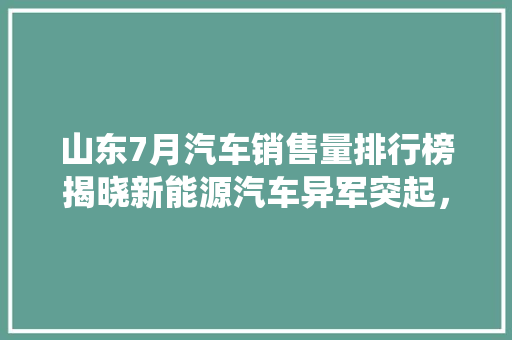 山东7月汽车销售量排行榜揭晓新能源汽车异军突起，传统车企如何应对 车载导航