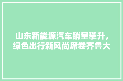 山东新能源汽车销量攀升，绿色出行新风尚席卷齐鲁大地