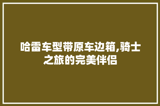 哈雷车型带原车边箱,骑士之旅的完美伴侣
