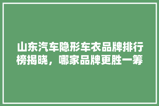 山东汽车隐形车衣品牌排行榜揭晓，哪家品牌更胜一筹