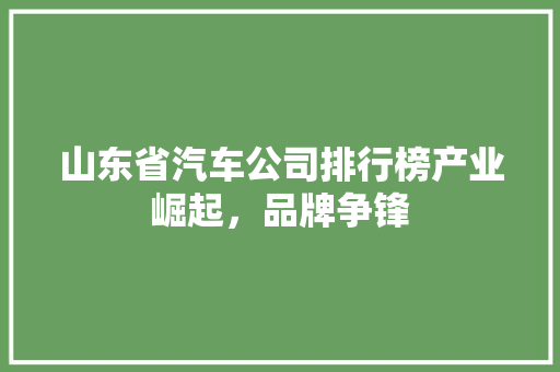 山东省汽车公司排行榜产业崛起，品牌争锋