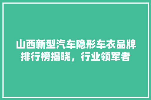山西新型汽车隐形车衣品牌排行榜揭晓，行业领军者
