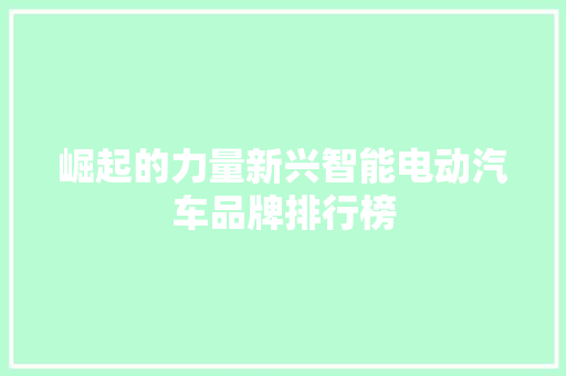 崛起的力量新兴智能电动汽车品牌排行榜 车联网技术