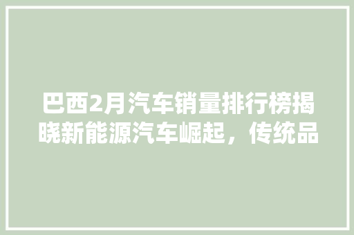 巴西2月汽车销量排行榜揭晓新能源汽车崛起，传统品牌面临挑战 新能源汽车