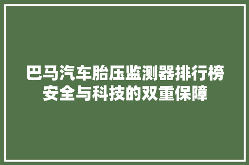 巴马汽车胎压监测器排行榜安全与科技的双重保障