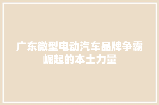广东微型电动汽车品牌争霸崛起的本土力量