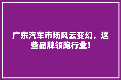 广东汽车市场风云变幻，这些品牌领跑行业！