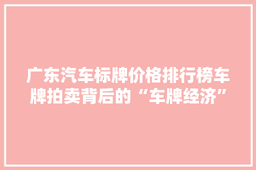 广东汽车标牌价格排行榜车牌拍卖背后的“车牌经济”