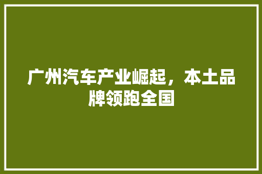 广州汽车产业崛起，本土品牌领跑全国