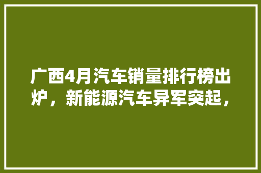 广西4月汽车销量排行榜出炉，新能源汽车异军突起，传统燃油车面临挑战