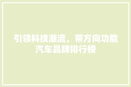 引领科技潮流，带方向功能汽车品牌排行榜