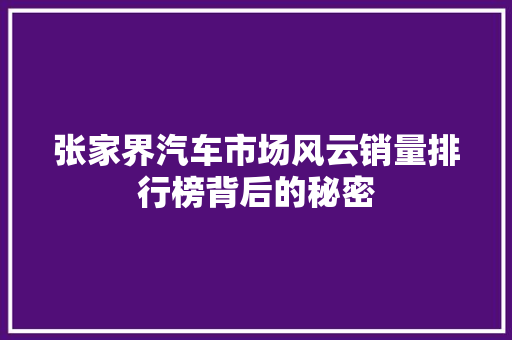 张家界汽车市场风云销量排行榜背后的秘密 自动驾驶