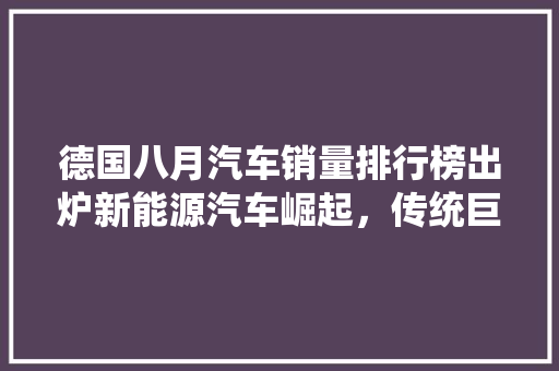 德国八月汽车销量排行榜出炉新能源汽车崛起，传统巨头面临挑战