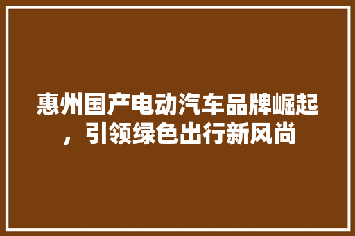 惠州国产电动汽车品牌崛起，引领绿色出行新风尚