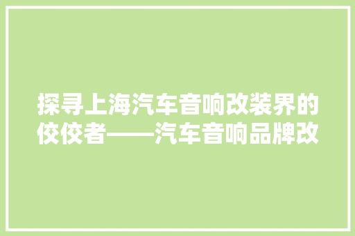 探寻上海汽车音响改装界的佼佼者——汽车音响品牌改装店排行榜